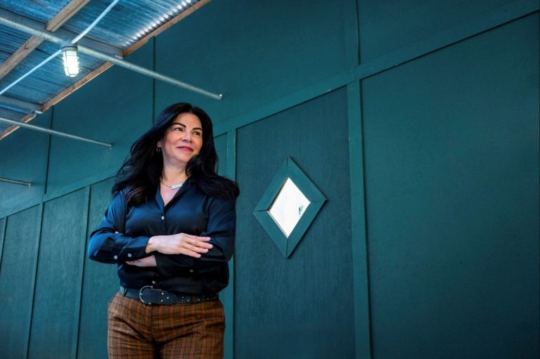 Strategic Project Support for seamless delivery and governance