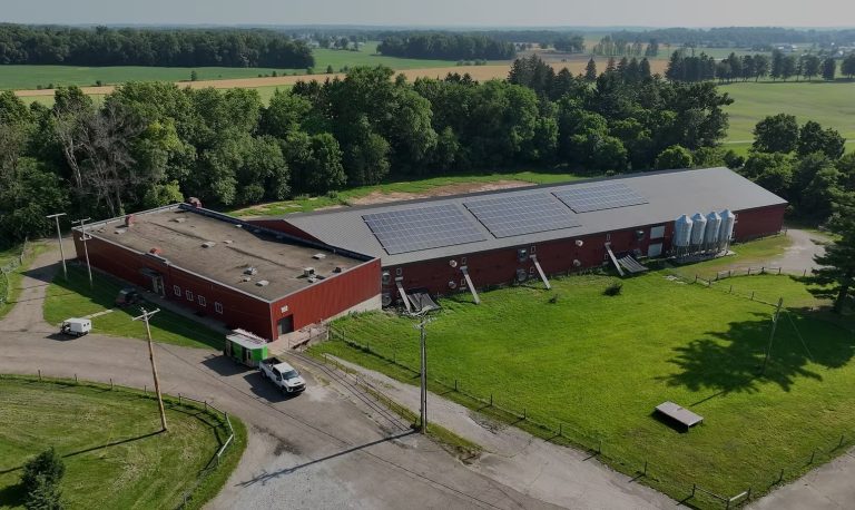 Choosing sustainable poultry feed for healthier flocks