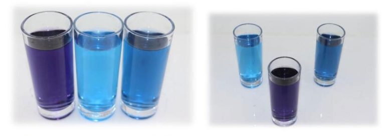 Unlock Your Potential with Local Scholarship Programs in Adelaide