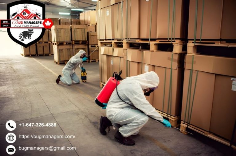 Reliable pest management for homes and businesses