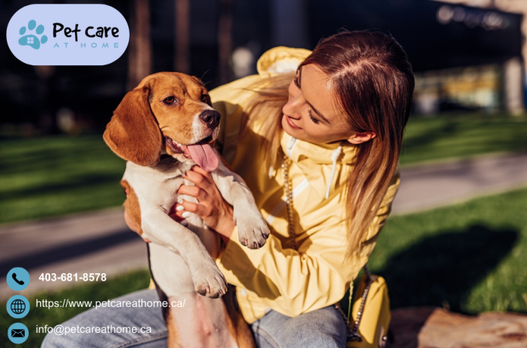 Compassionate end-of-life support for pets and families