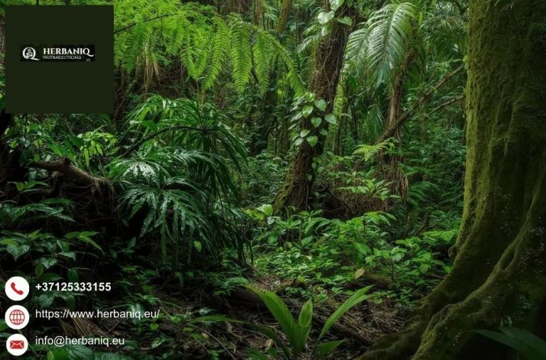 Boost Your Vitality with Practical Heart Health Tips