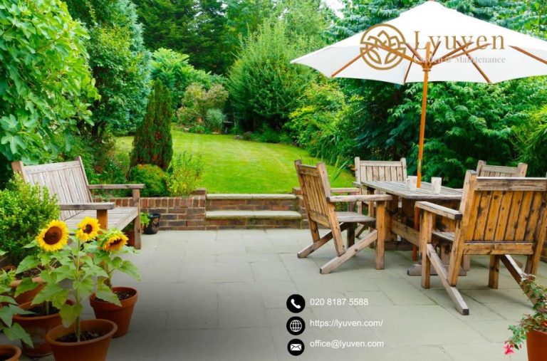 Expert Hedge Care for Wimbledon Gardens