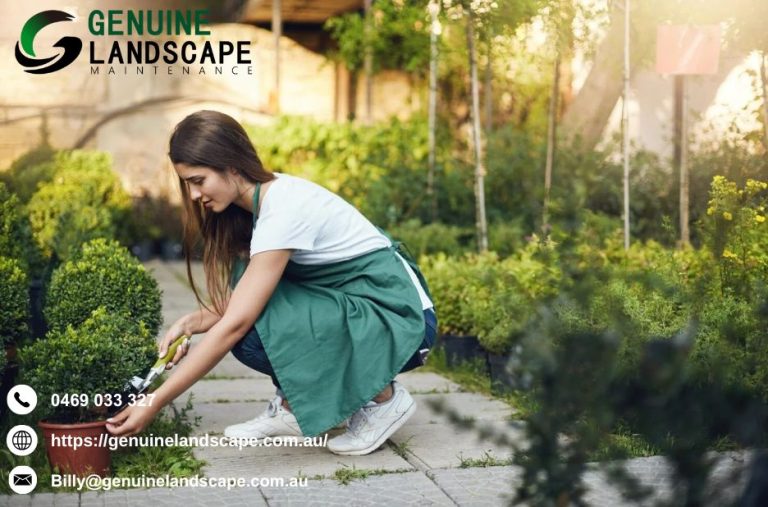 Affordable gardening solutions for Sydney homes that last Affordable gardening solutions for Sydney homes that last