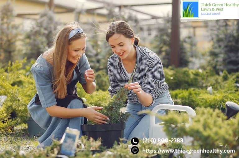 How to Grow a Thick Green Lawn and Manage Pests Naturally How to Grow a Thick Green Lawn and Manage Pests Naturally
