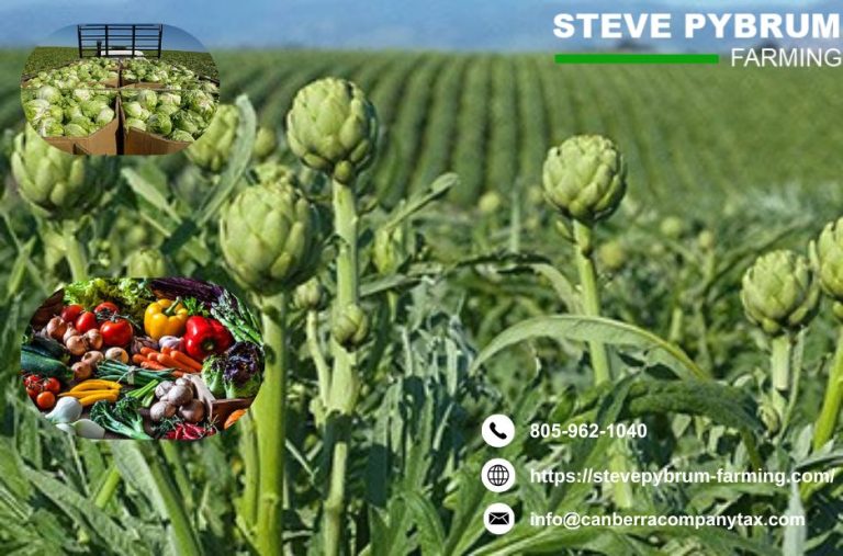 Expert Taxation Guidance for California Farms and Ranches