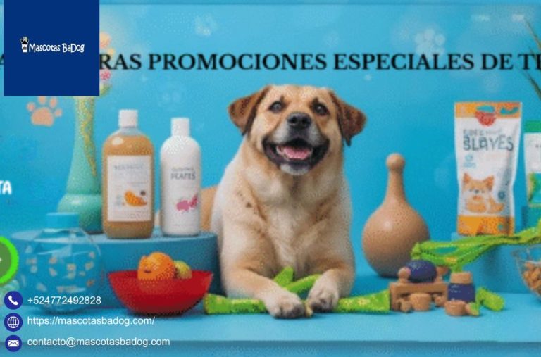 Protege a tus mascotas: vacunas y cuidado en León Protege a tus mascotas: vacunas y cuidado en León