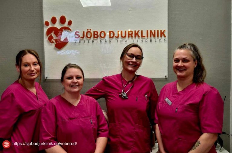 Praktisk hund tandvård i Skurup och omtanke om husdjur