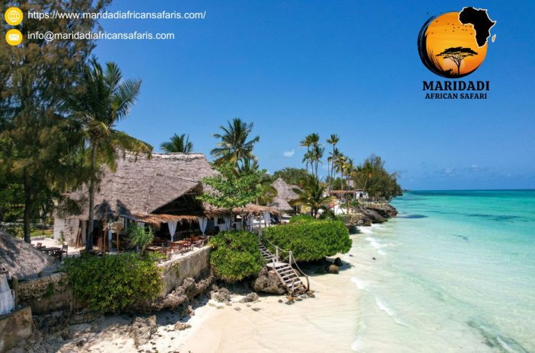 Discover an Epic Kenya Safari from the USA: Plan Your Adventure