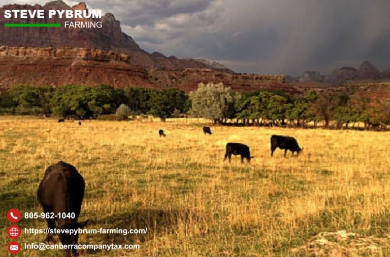 Practical guidance from a trusted agricultural taxation expert