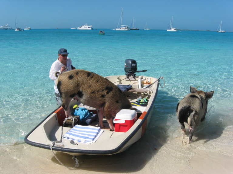 Discover the Powdery Shores of Harbour Island’s Signature Beach