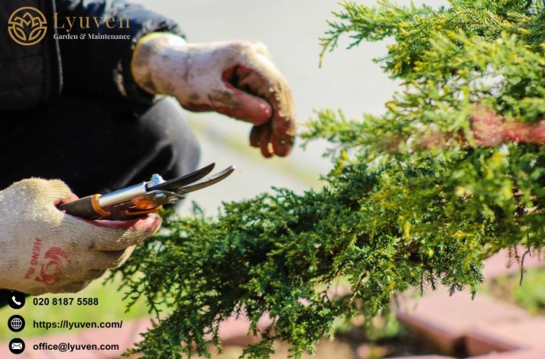 Professional Landscapes: Sutton Surrey Garden Care