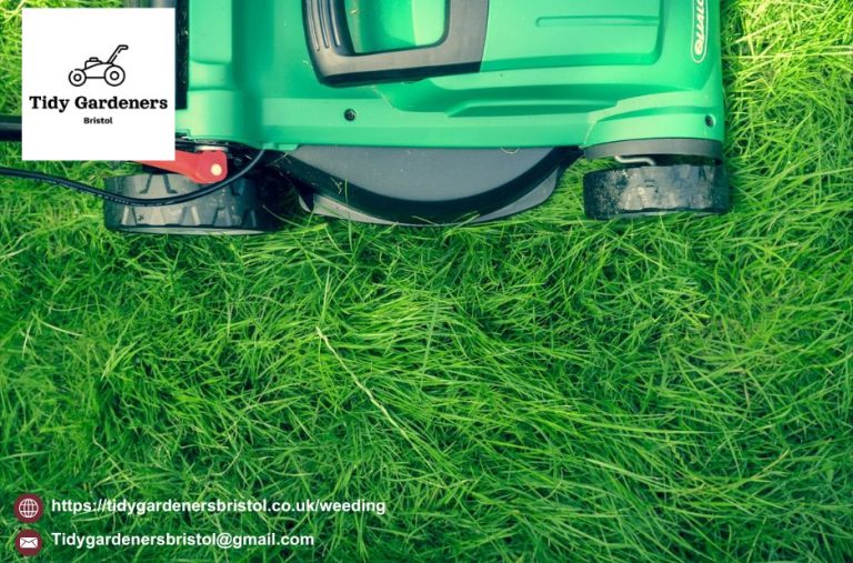 Professional weed control and landscape maintenance for pristine outdoor spaces