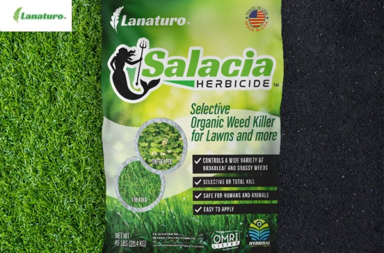 Safe, Low-Tox Garden Defense for Weeds and Pests