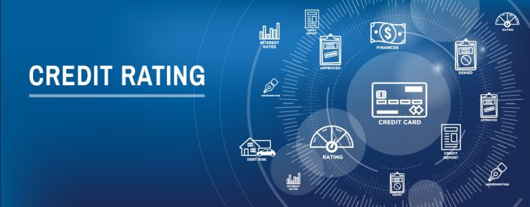 Partner-Led Identity Protection Solutions for Your Brand