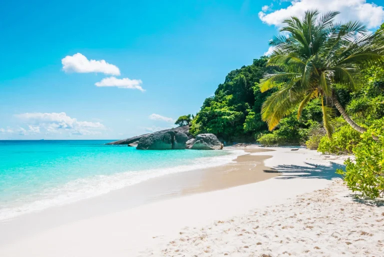 Smart Tips for Affordable Car Hire in Hawaii