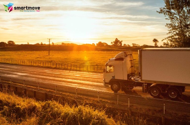 Smooth, Stress-Free Household Moves Across New Zealand