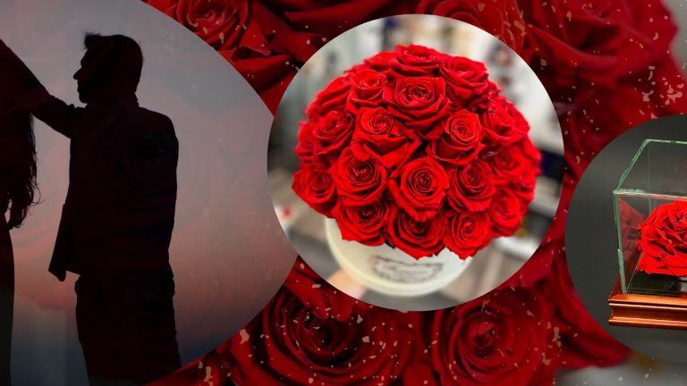 Timeless Colour: Luxury Roses That Stay Vibrant for Months Timeless Colour: Luxury Roses That Stay Vibrant for Months