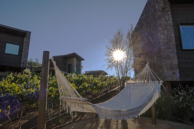 Luxurious Stays in Valle de Guadalupe: A Prestigious Wine Country Escape