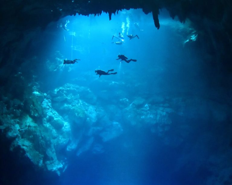 Hidden Waterways: Discovering Shimmering Cenotes and Caves Hidden Waterways: Discovering Shimmering Cenotes and Caves