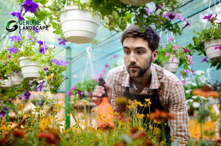 Seasonal care that protects and enhances your outdoor spaces