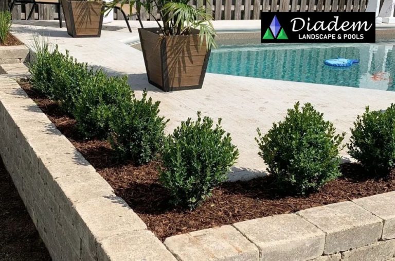 Transform Your Outdoor Spaces with Trusted Cambridge Landscape Experts