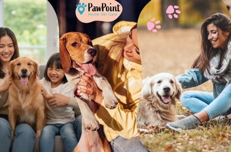 Gentle End-of-Life Support for Your Pet in Calgary