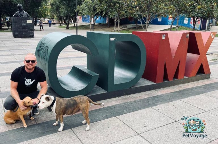 Pet travel rules: Mexico and USA pet import guidance