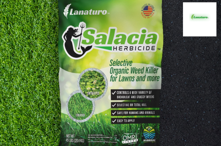 Discover the Natural Benefits of Salacia for Wellness