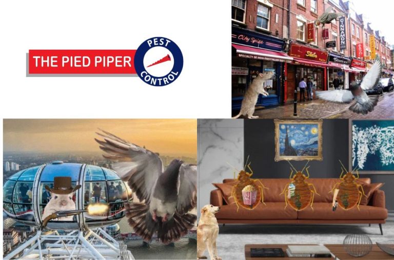 Effective pest control methods for homes and businesses