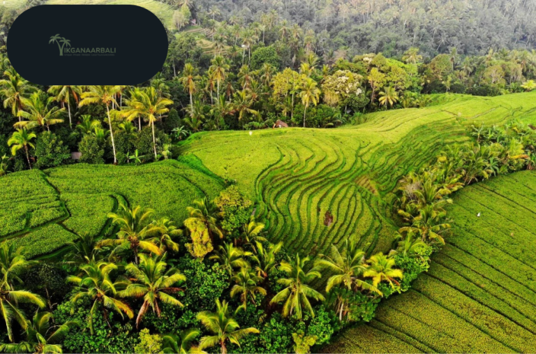 Discover Bali’s Hidden Gem: Ultimate Island Day Trip Experience Discover Bali’s Hidden Gem: Ultimate Island Day Trip Experience