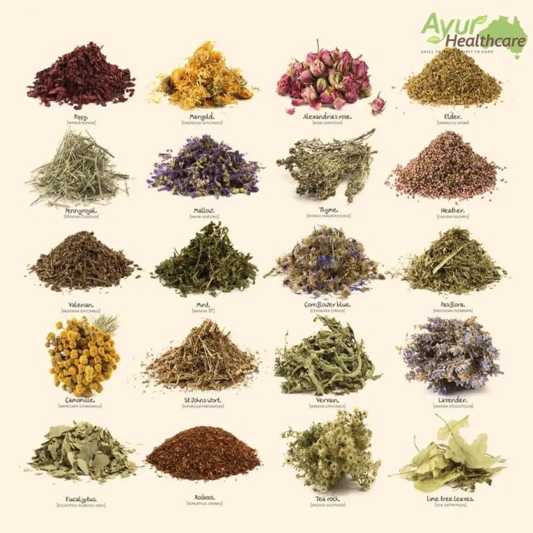 Holistic Ayurveda approaches for common concerns