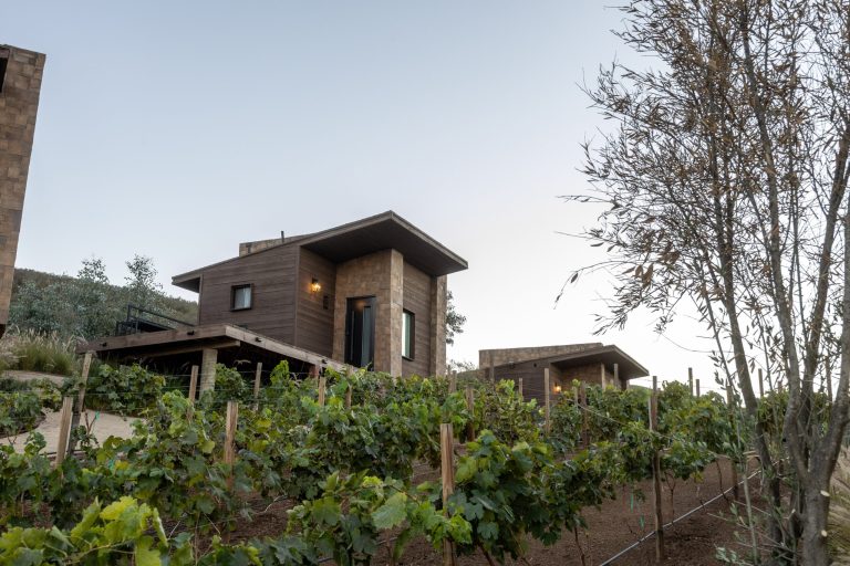 Explore Baja’s Valle de Guadalupe: Hotels for every taste