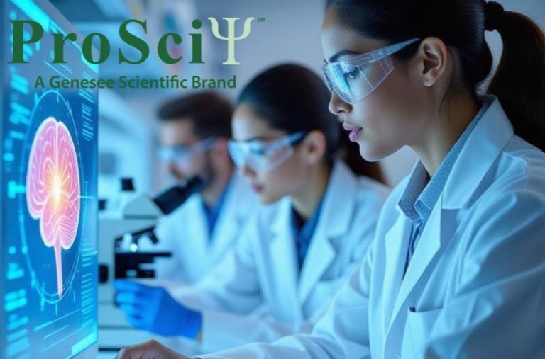 Mastering blocking steps for reliable western blot results