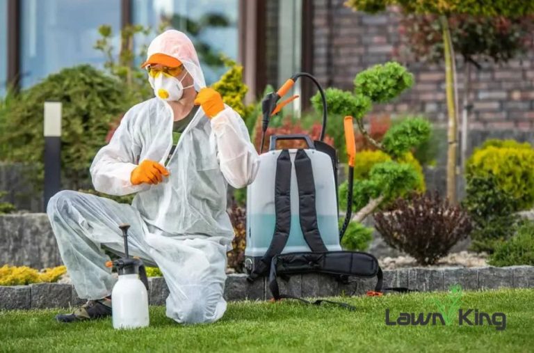 Protect Your Yard: Tick Prevention and Safe Outdoor Living in Harmony