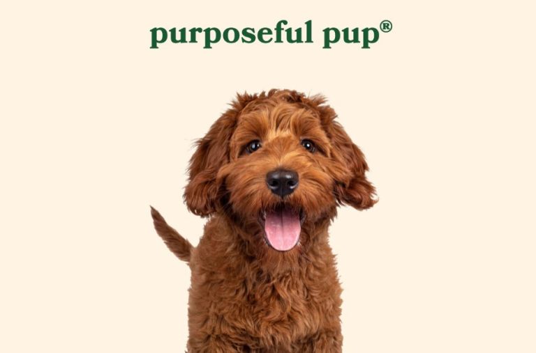 Best Natural Dog Treats from U.S. Suppliers — Trusted Picks