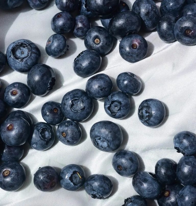 A clear guide to nicotine pouches you can trust