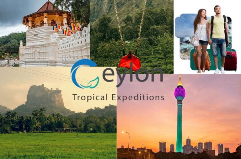 Tailored Sri Lanka Adventures: Your Perfect Custom Trip