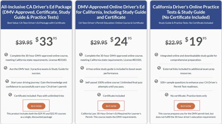 Discover a Practical Driving Session for Young Learners