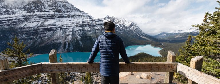Expert Refugee Protection Support in Canada