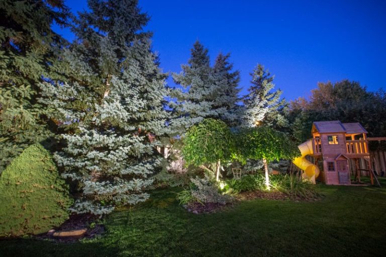 Subtle Outdoor Illumination: A Guide to Safe, Stylish Garden Lighting