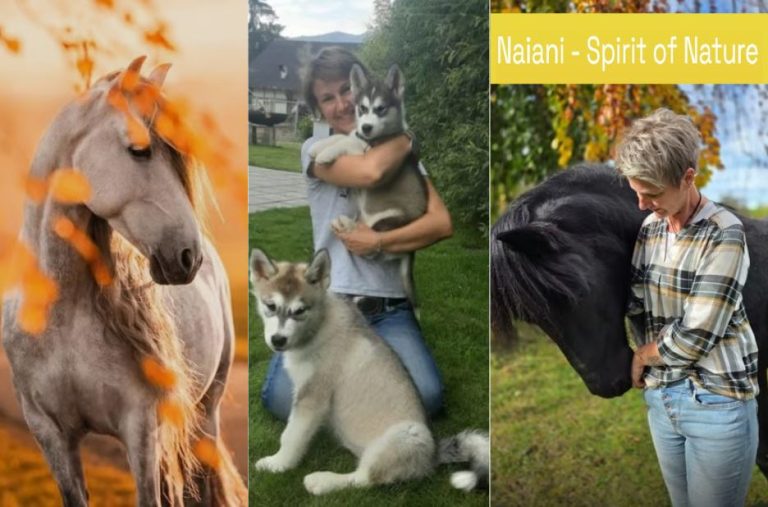Wenn Katzen auffällig reagieren: Alltagstaugliche Orientierung