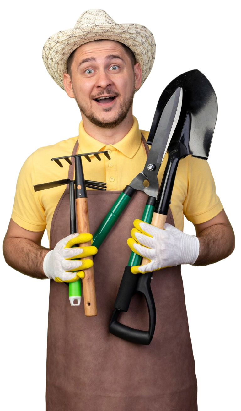 Freshen Up Your Curb Appeal with Local Bin Cleaning