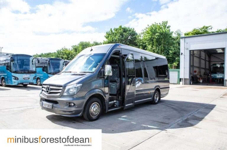 Efficient Transport Solutions in Forest of Dean