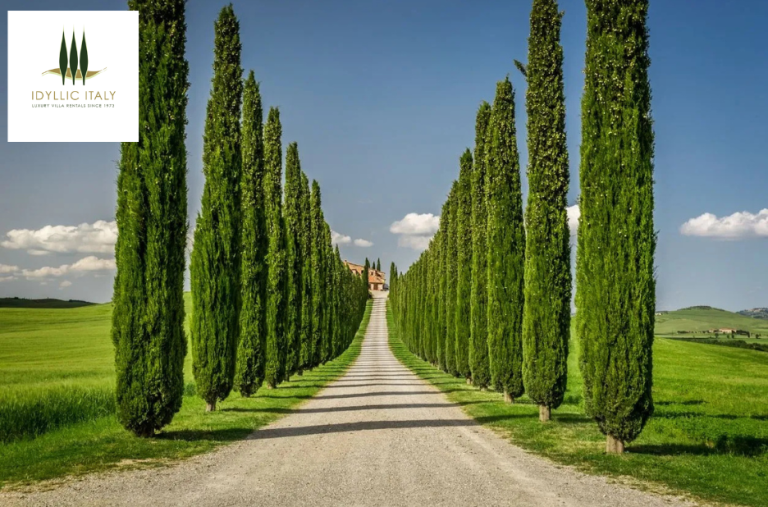 Luxurious Italian villa getaways for groups