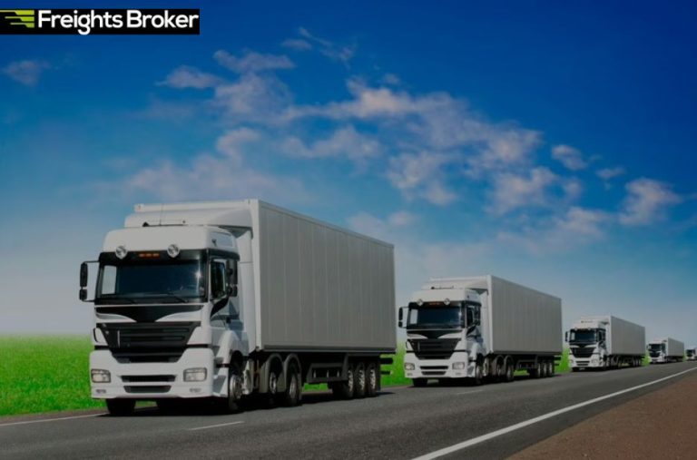 Reliable Vehicle Transport: A Practical Guide to Moving Your Car Internationally