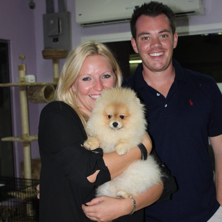 Trusted Animal Care in Doha: Your Pet’s Health Partner