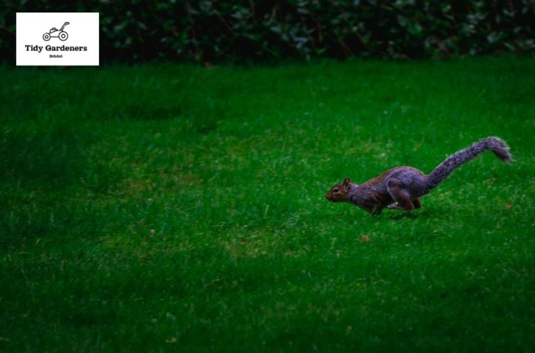 Expert patio cleaning for Bristol homes and businesses