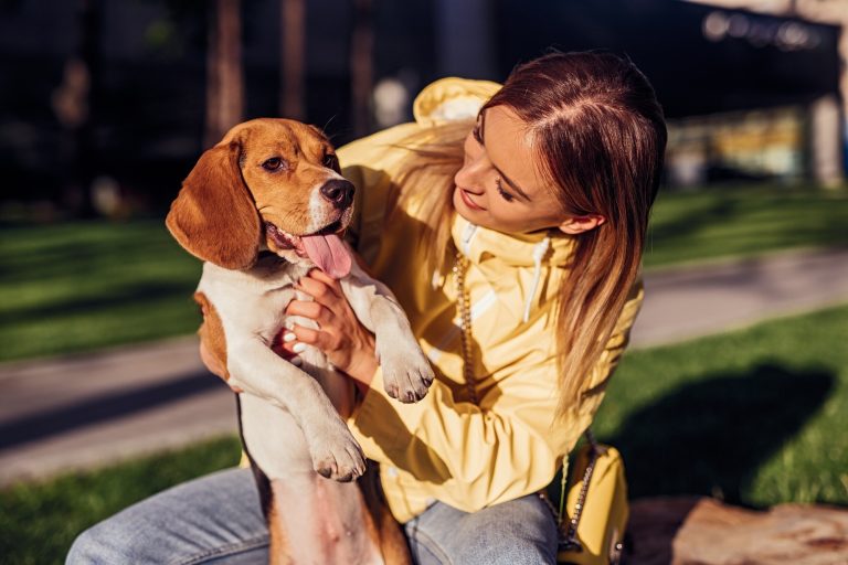 Compassionate at-home end-of-life care for pets in Calgary