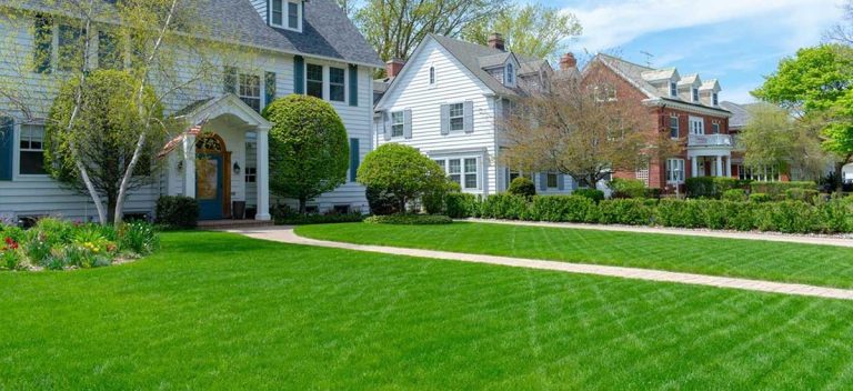 Trustworthy lawn care services for a thriving green space